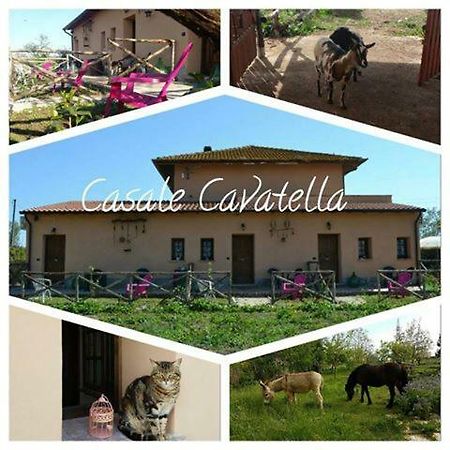 Casale Cavatella Bed & Breakfast Sermoneta Eksteriør bilde