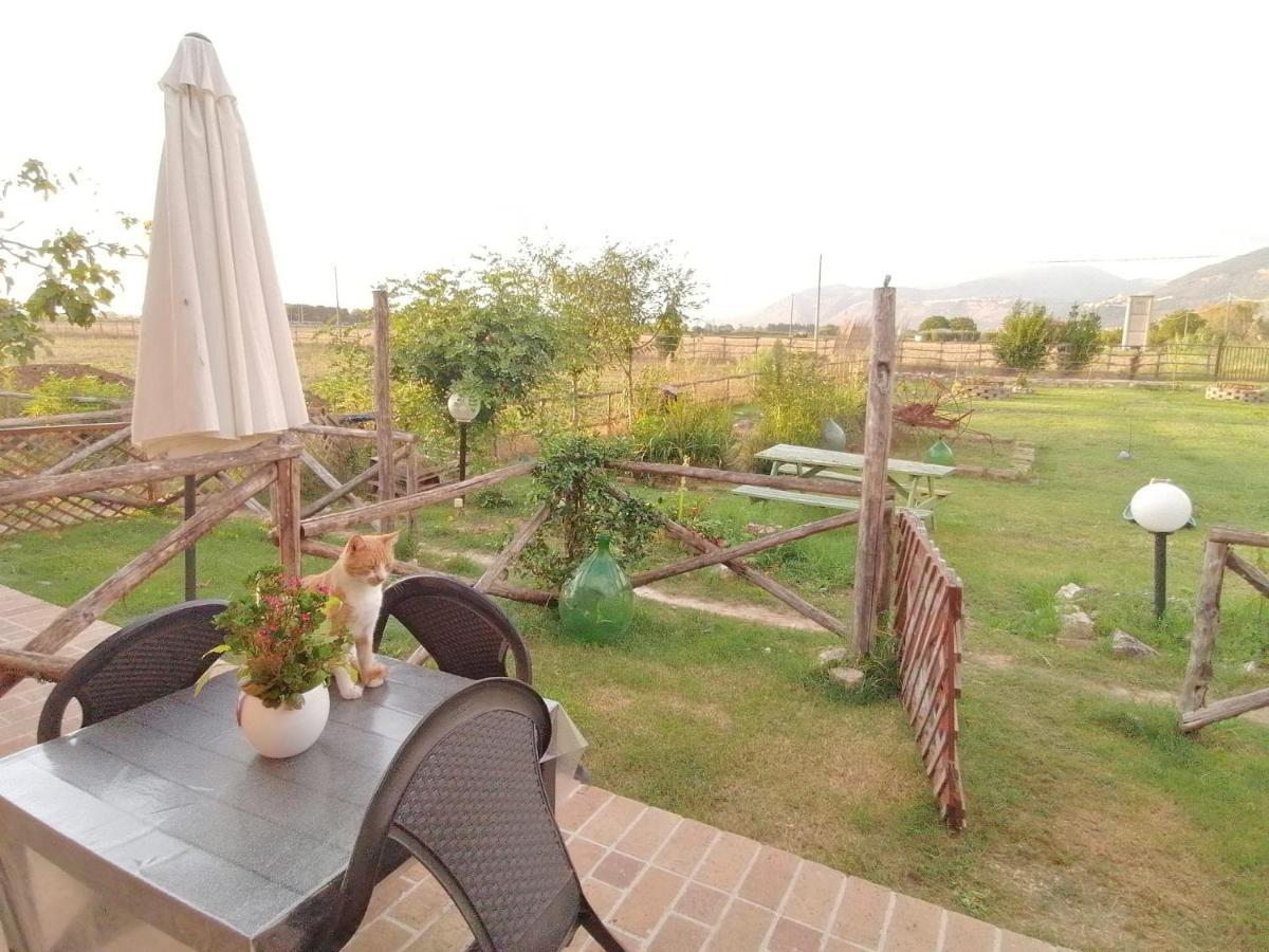 Casale Cavatella Bed & Breakfast Sermoneta Eksteriør bilde